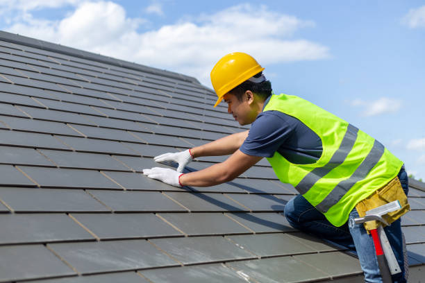 Best Storm Damage Roof Repair  in Grove Hill, AL