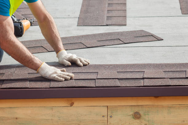 Best Roof Maintenance and Cleaning  in Grove Hill, AL